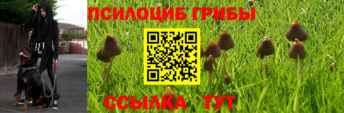 Галлюциногенные грибы ЛСД Павлово