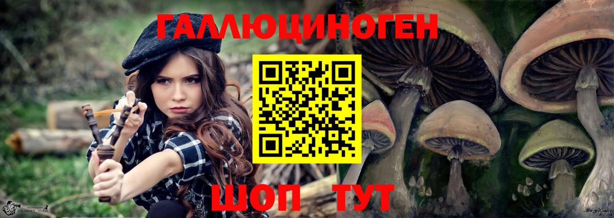 Псилоцибиновые грибы MAGIC MUSHROOMS  Вход с VPN  Павлово 